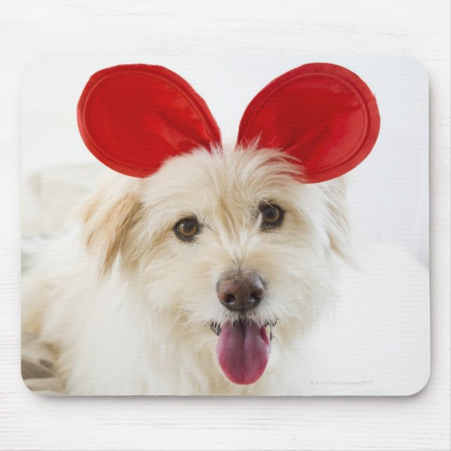 Dog wearing toy ears on bed mouse pad (Front)