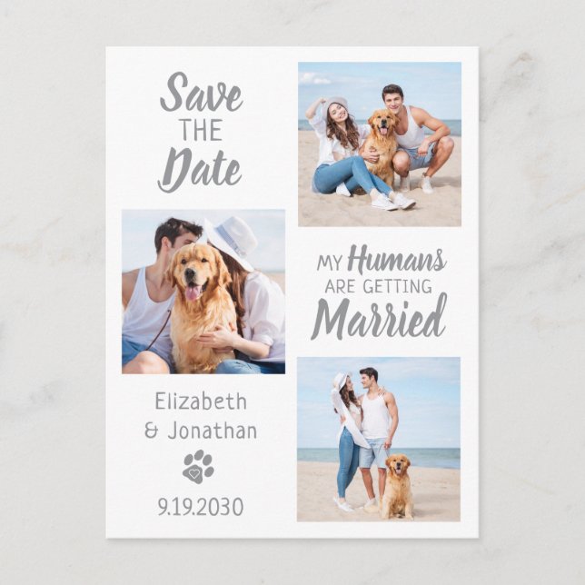 Dog Wedding Photo Collage Save The Date Announcement Postcard (Front)