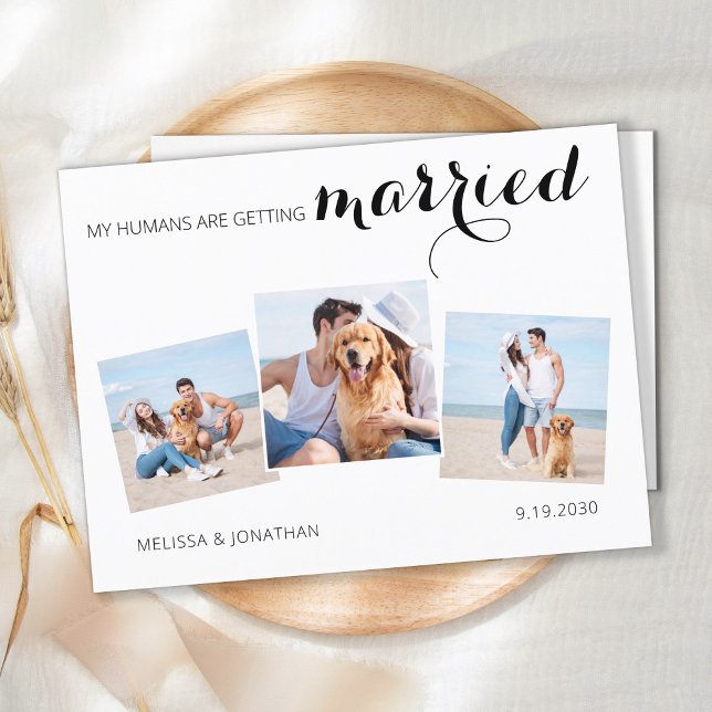 Dog Wedding Photo Collage Save The Date Invitation (Creator Uploaded)