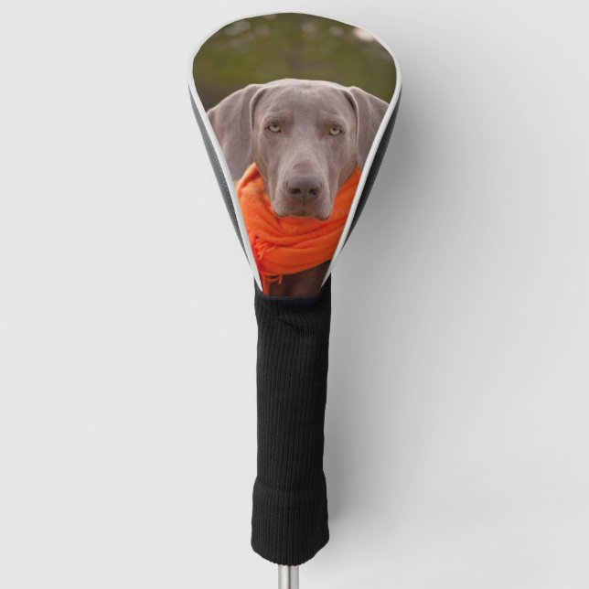 Dog Weimaraner Scarf Pet Canine Golf Head Cover (Front)