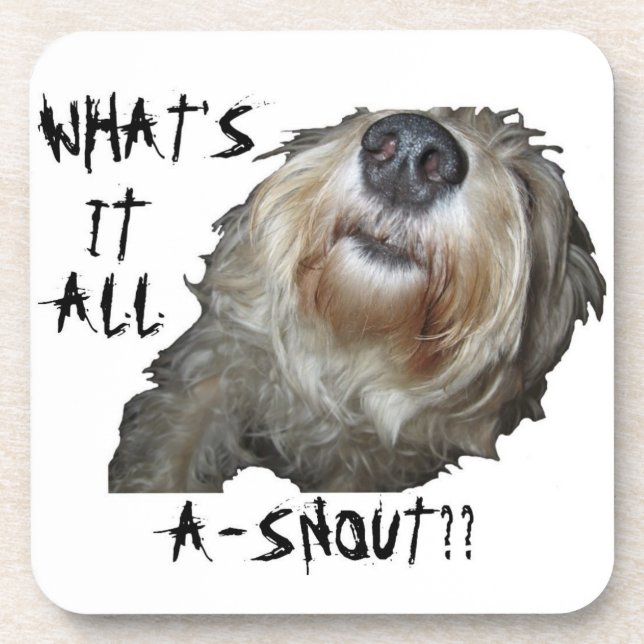Dog "WHAT'S IT ALL A-SNOUT??" Coasters - Set of 6 (Front)