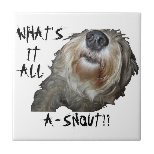 Dog "WHAT'S IT ALL A-SNOUT??" Tile (Front)