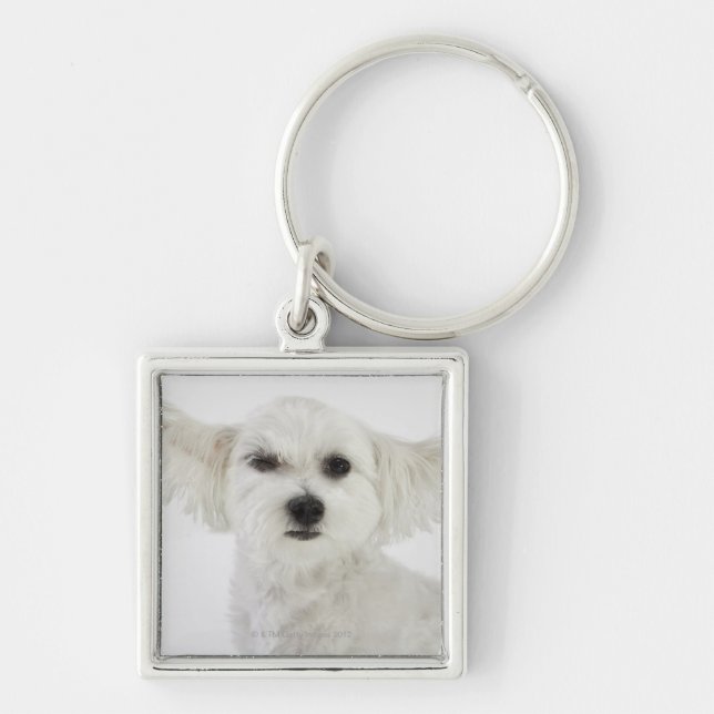 Dog winking keychain (Front)