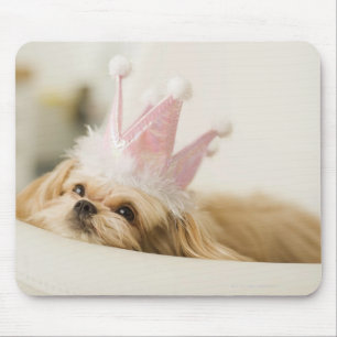 Dog with a crown mouse pad