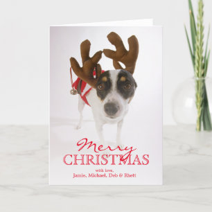 Dog With Antlers And Bell Holiday Card
