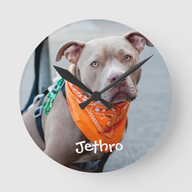 Dog with Bandana Round Clock (Front)