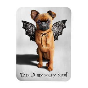 Dog With Bat Wings Magnet