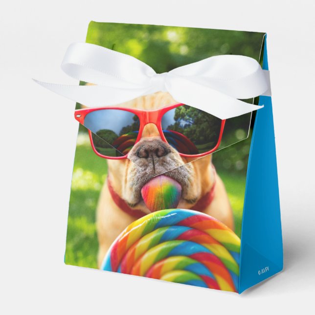 Dog With Big Lollipop Favor Box (Front Side)