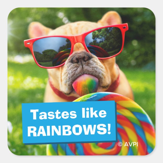 Dog With Big Lollipop Square Sticker (Front)