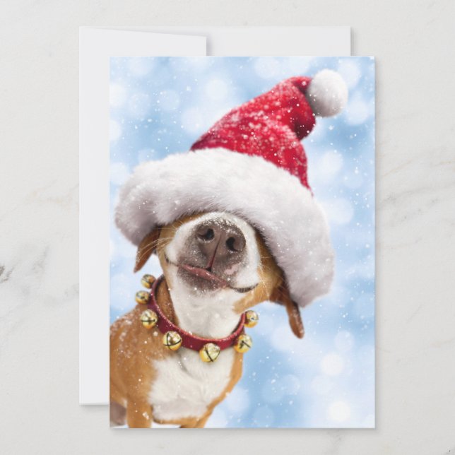 Dog With Big Santa Hat Invitation (Front)