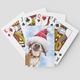 Dog With Big Santa Hat Playing Cards