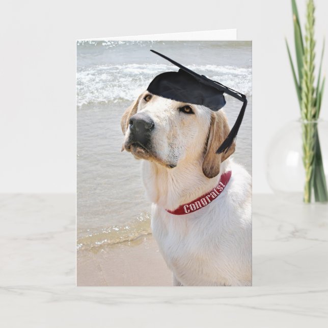 Dog with Black Graduation Cap Card (Front)