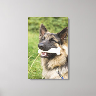 Dog with bone canvas print