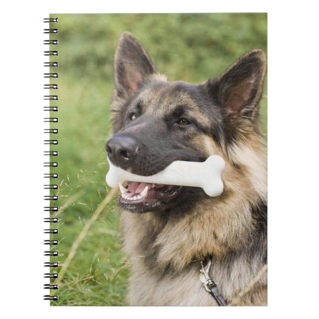 Dog with bone notebook (Front)