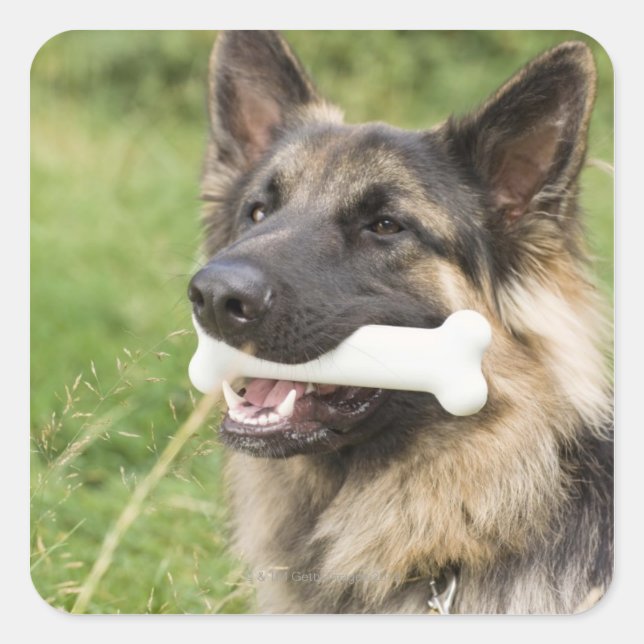 Dog with bone square sticker (Front)