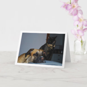 Dog with Cat Portrait Card