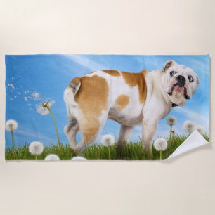 Dog With Dandelion Beach Towel