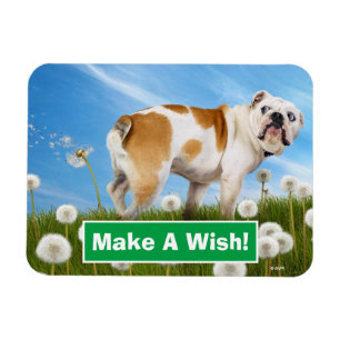 Dog With Dandelion Magnet