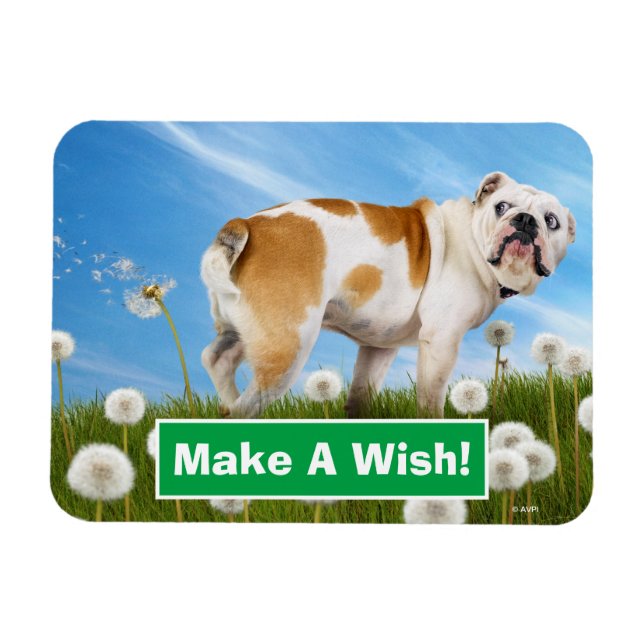 Dog With Dandelion Magnet (Horizontal)