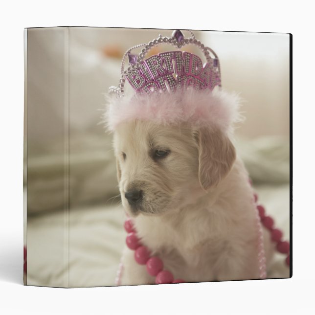 Dog with decorations on bed binder (Front/Spine)