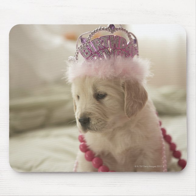 Dog with decorations on bed mouse pad (Front)