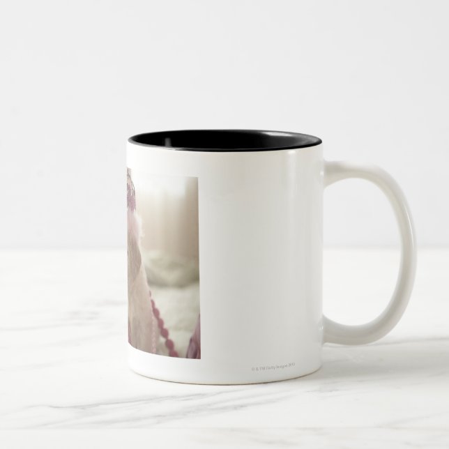 Dog with decorations on bed Two-Tone coffee mug (Right)