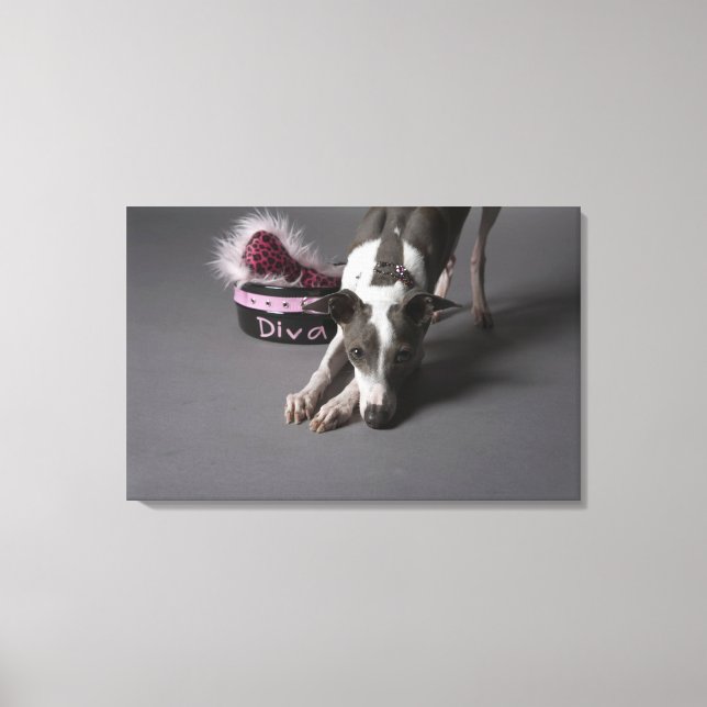 Dog with diva bowl, sniffing floor canvas print (Front)