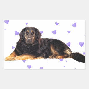 Dog with Falling purple Hearts Sticker