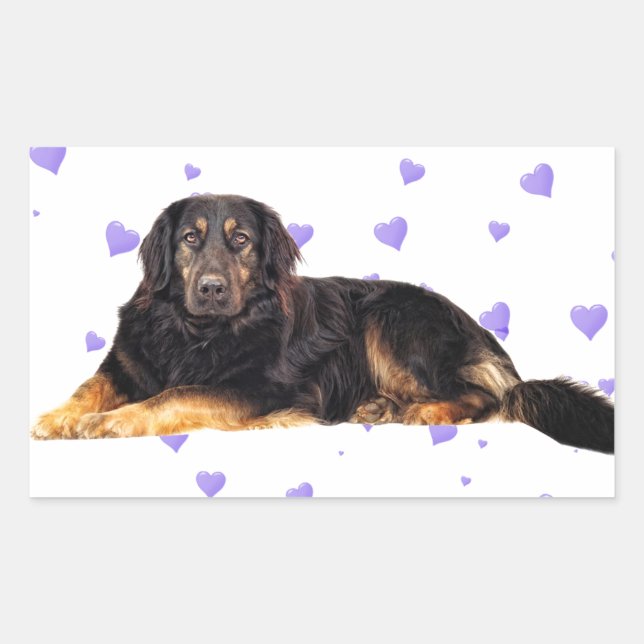Dog with Falling purple Hearts Sticker (Front)