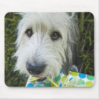 Dog with gift in mouth mouse pad