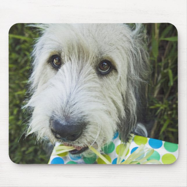 Dog with gift in mouth mouse pad (Front)