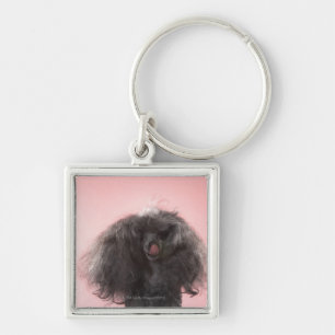 Dog with hair in front of face and tongue out keychain