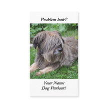 Dog with hair over it's eyes