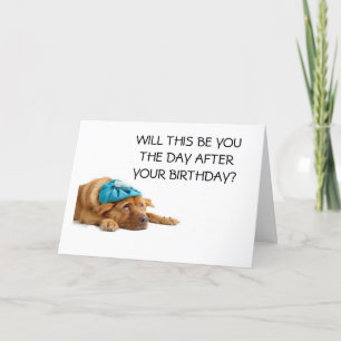 DOG WITH HANGOVER HUMOROUS 50TH CARD