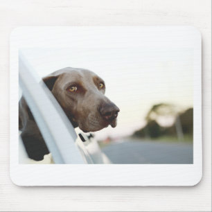Dog with head out of a car window mouse pad