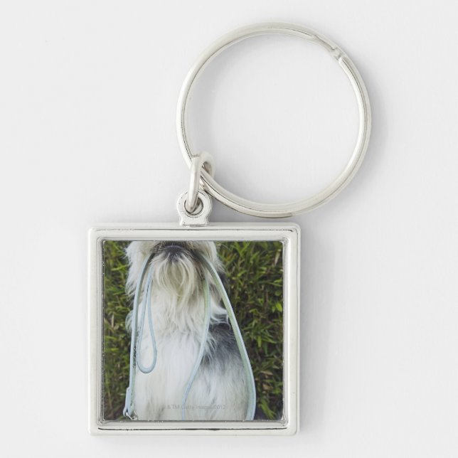 Dog with leash in mouth keychain (Front)