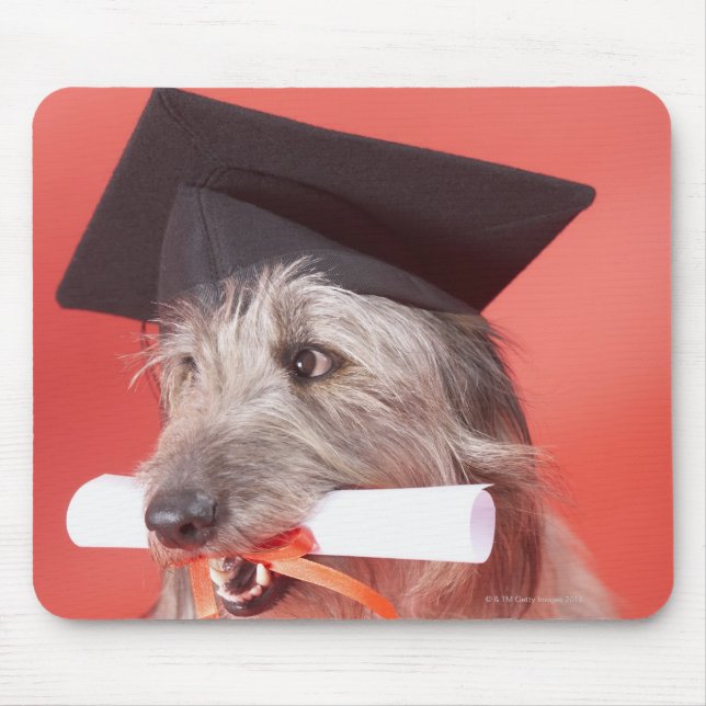 Dog with mortarboard and diploma mouse pad (Front)