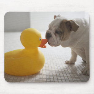 Dog with plastic duck mouse pad