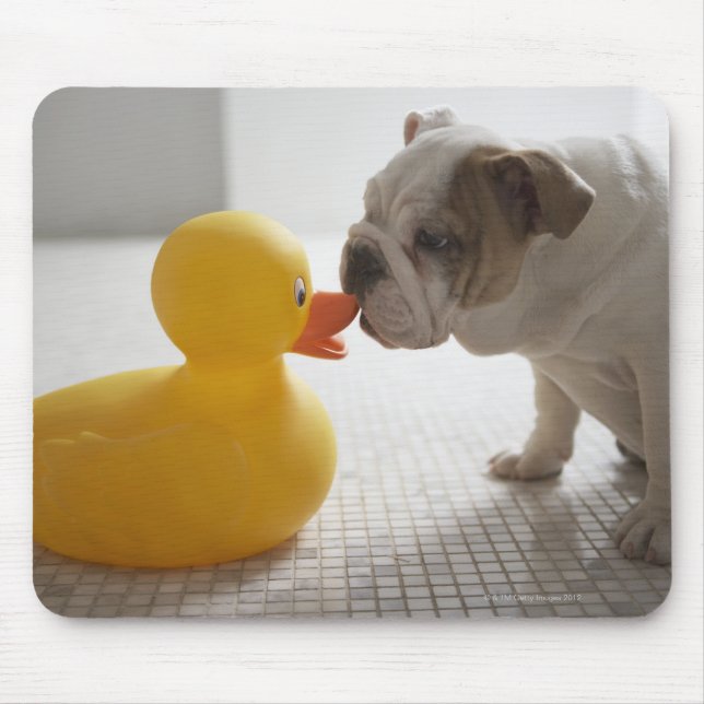 Dog with plastic duck mouse pad (Front)