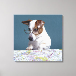 Dog with reading glasses studying map canvas print