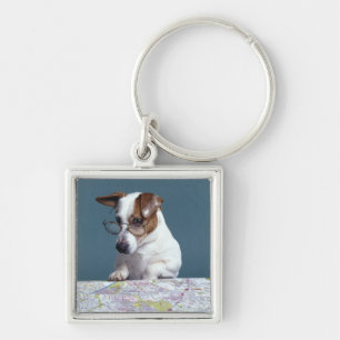 Dog with reading glasses studying map keychain