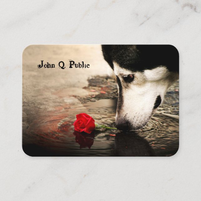 Dog with Red Rose Business Card (Front)