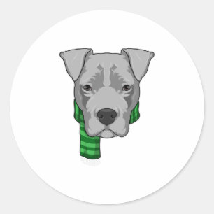 Dog with Scarf Classic Round Sticker