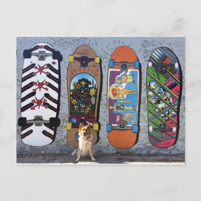 Dog with Skateboards Mural Postcard (Front)