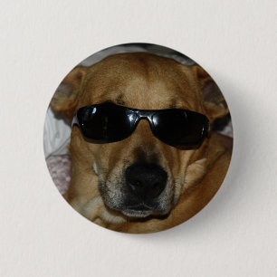 Dog with sunglasses 2 inch round button