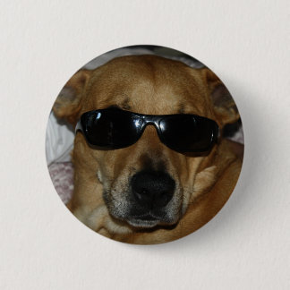 Dog with sunglasses 2 inch round button