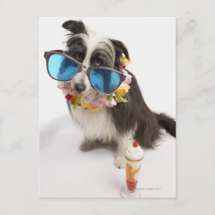 Dog with sunglasses and parfait postcard