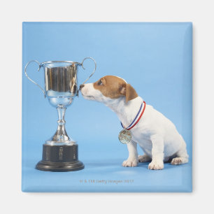 Dog with trophy magnet
