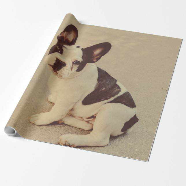 Dog Wrapping Paper (Unrolled)