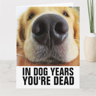 DOG YEARS YOUR'RE DEAD DOG BIRTHDAY Greeting Card